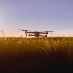 The Role of Technology in Boosting Cereal Crop Yields