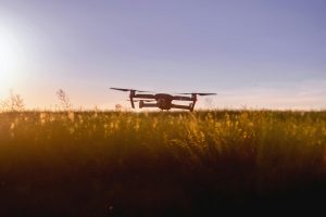 The Role of Technology in Boosting Cereal Crop Yields