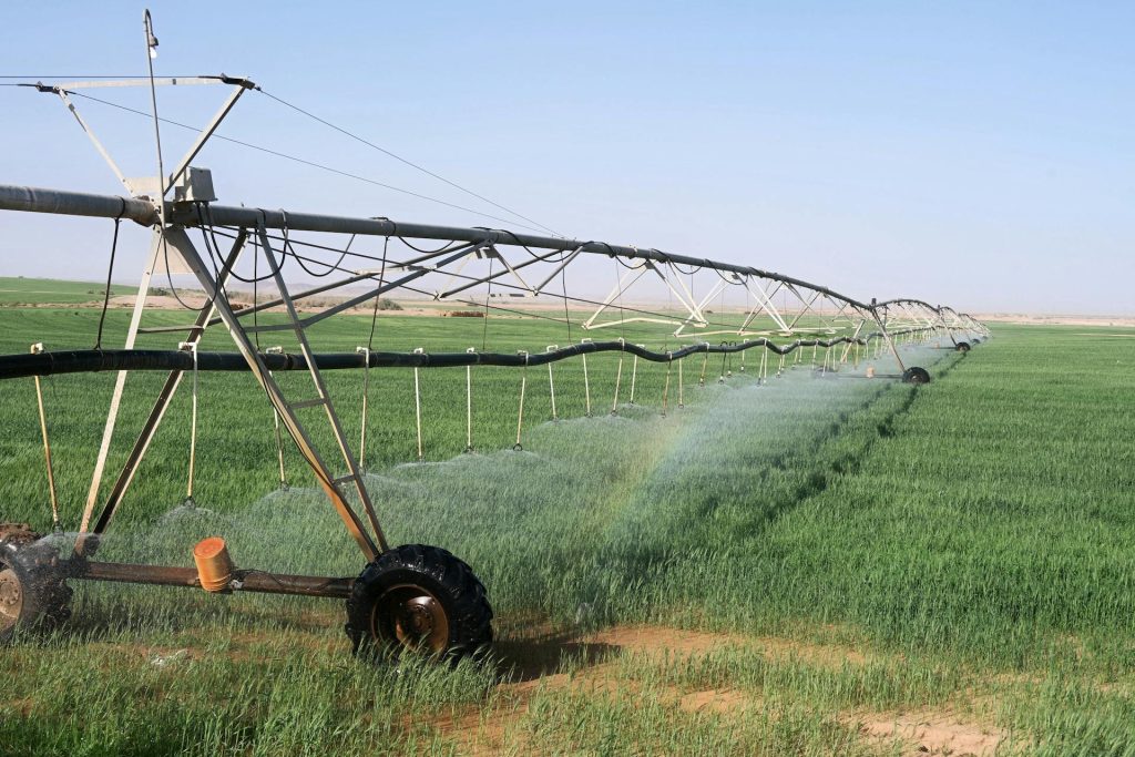 Top 5 Modern Tools Every Indian Farmer Should Know
